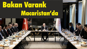Bakan Varank Macaristan’da