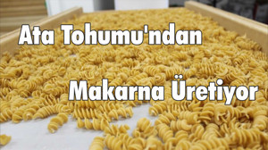Ata Tohumu'ndan Makarna Üretiyor