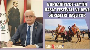 BURHANİYE’DE ZEYTİN HASAT FESTİVALİ VE DEVE GÜREŞLERİ BAŞLIYOR