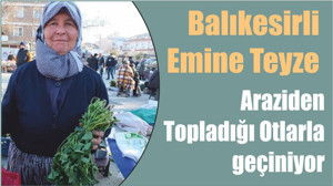 Balıkesirli Emine Teyze Araziden Topladığı Otlarla geçiniyor