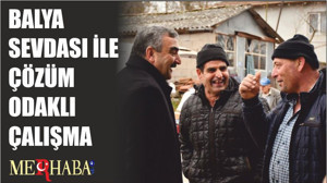 BALYA SEVDASI İLE ÇÖZÜM ODAKLI ÇALIŞMA