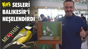 KUŞ SESLERİ BALIKESİR’İ NEŞELENDİRDİ