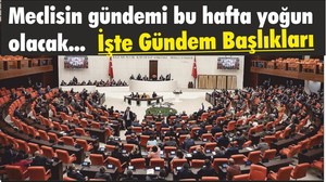Meclisin gündemi bu hafta yoğun olacak! İşte Gündem Başlıkları