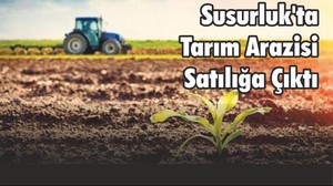 Susurluk'ta Tarım Arazisi Satılığa Çıktı