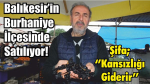 Balıkesir’in Burhaniye İlçesinde Satılıyor! Şifa; Çekirdekli Siyah Kan Üzümü