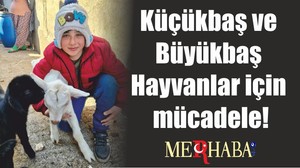 Küçükbaş ve Büyükbaş Hayvanlar için mücadele!