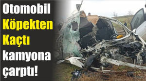 Otomobil Köpekten Kaçtı kamyona çarptı!