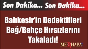 Balıkesir’in Dedektifleri Bağ/Bahçe Hırsızlarını Yakaladı!