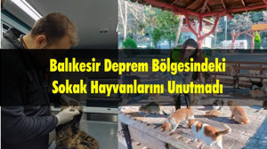 Balıkesir Deprem Bölgesindeki Sokak Hayvanlarını Unutmadı