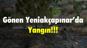 Gönen Yeniakçapınar’da Yangın