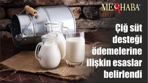Çiğ süt desteği ödemelerine ilişkin esaslar belirlendi