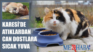 Karesi'de Can Dostlara Sıcak yuva