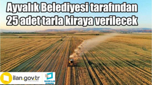 Ayvalık Belediyesi tarafından 25 adet tarla kiraya verilecek