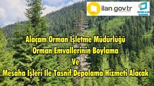 Alaçam Orman İşletme Müdürlüğü Orman Emvallerinin Boylama Ve Mesaha İşleri İle Tasnif Depolama Hizmeti Alacak