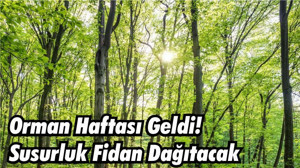 Orman Haftası Geldi! Susurluk Fidan Dağıtacak