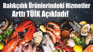 Balıkçılık Ürünlerindeki Hizmetler Arttı TÜİK Açıkladı!