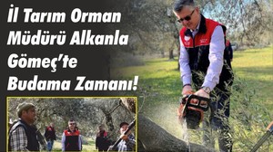 İl Tarım Orman Müdürü Alkanla Gömeç’te Budama Zamanı!