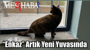 “Enkaz” Artık Yeni Yuvasında