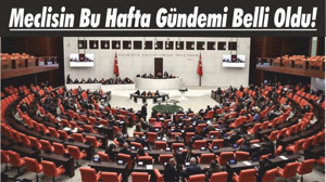 Meclisin Bu Hafta Gündemi Belli Oldu!