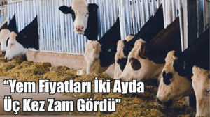 Damızlık Sığır Yetiştiricileri Birliği Başkanı Hasan Çetin “Yem Fiyatları İki Ayda Üç Kez Zam Gördü”