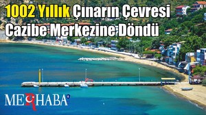 1002 Yıllık Çınarın Çevresi Cazibe Merkezine Döndü