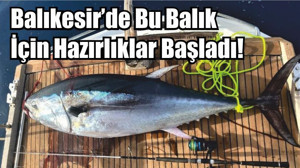 Balıkesir’de Orkinos İçin Hazırlıklar Başladı!