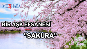 Yeniden Doğuşun Simgesi: Sakura