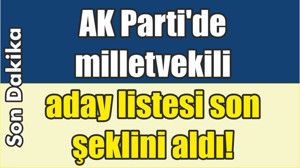 AK Parti'de Aday Listesi