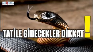 Tatile Gidecekler Dikkat