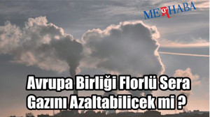 AB Florlü Gazı Azaltacak