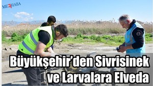 Sivrisineklere Elveda