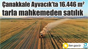 Çanakkale Ayvacık'ta 16.446 m² tarla mahkemeden satılık