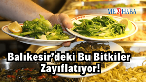 Balıkesir’deki Bu Bitkiler Zayıflatıyor!