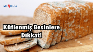 Küflenmiş Besinlere Dair Bilgiler