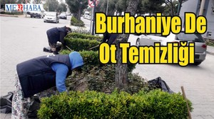 Burhaniye De Ot Temizliği