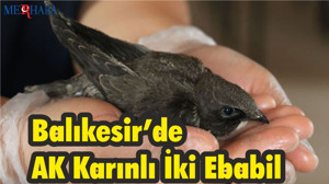 Balıkesir'de İki Ebabil