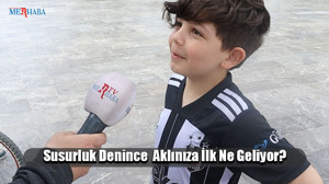 Susurluk Denince Aklınıza İlk Gelen