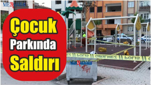 Çocuk Parkında Saldırı