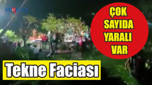 Tekne Faciası