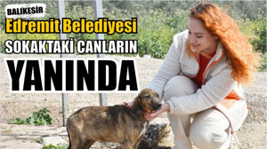 Edremit Belediyesi Sokaktaki Canların Yanında