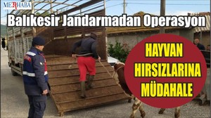 Balıkesir Jandarmadan Operasyon