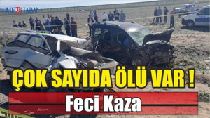 Feci Kaza