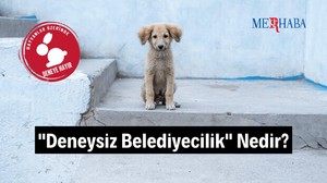 Deneysiz Belediyecilik Nedir?