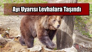 Ayı Uyarısı Artık Levhalarda