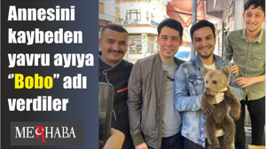 Annesini kaybeden yavru ayıya ‘’Bobo’’ adı verdiler