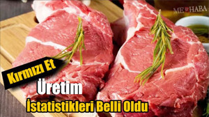 Kırmızı Et Üretim İstatistikleri