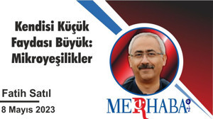 Kendisi Küçük Faydası Büyük: Mikroyeşilikler