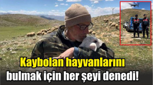 Kaybolan hayvanlarını bulmak için her şeyi denedi!