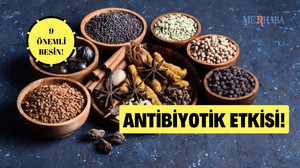 9 Doğal Antibiyotik