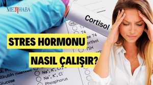 Stres Hormonu Nasıl Çalışır?